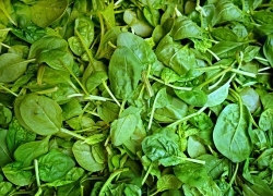 Deinen Körper mit eisenhaltigen Lebensmitteln versorgen